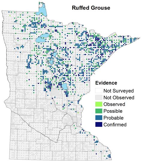 MN hunting units include Ruffed Mgmt Areas, . . Minnesota grouse hunting maps
